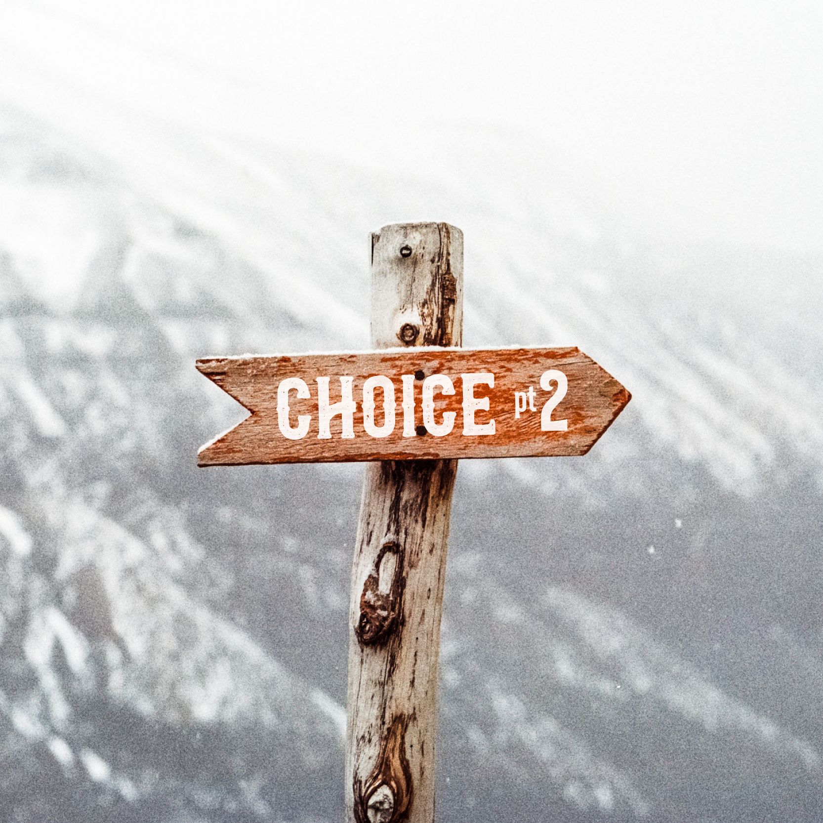 Adam - Choice Pt 2
