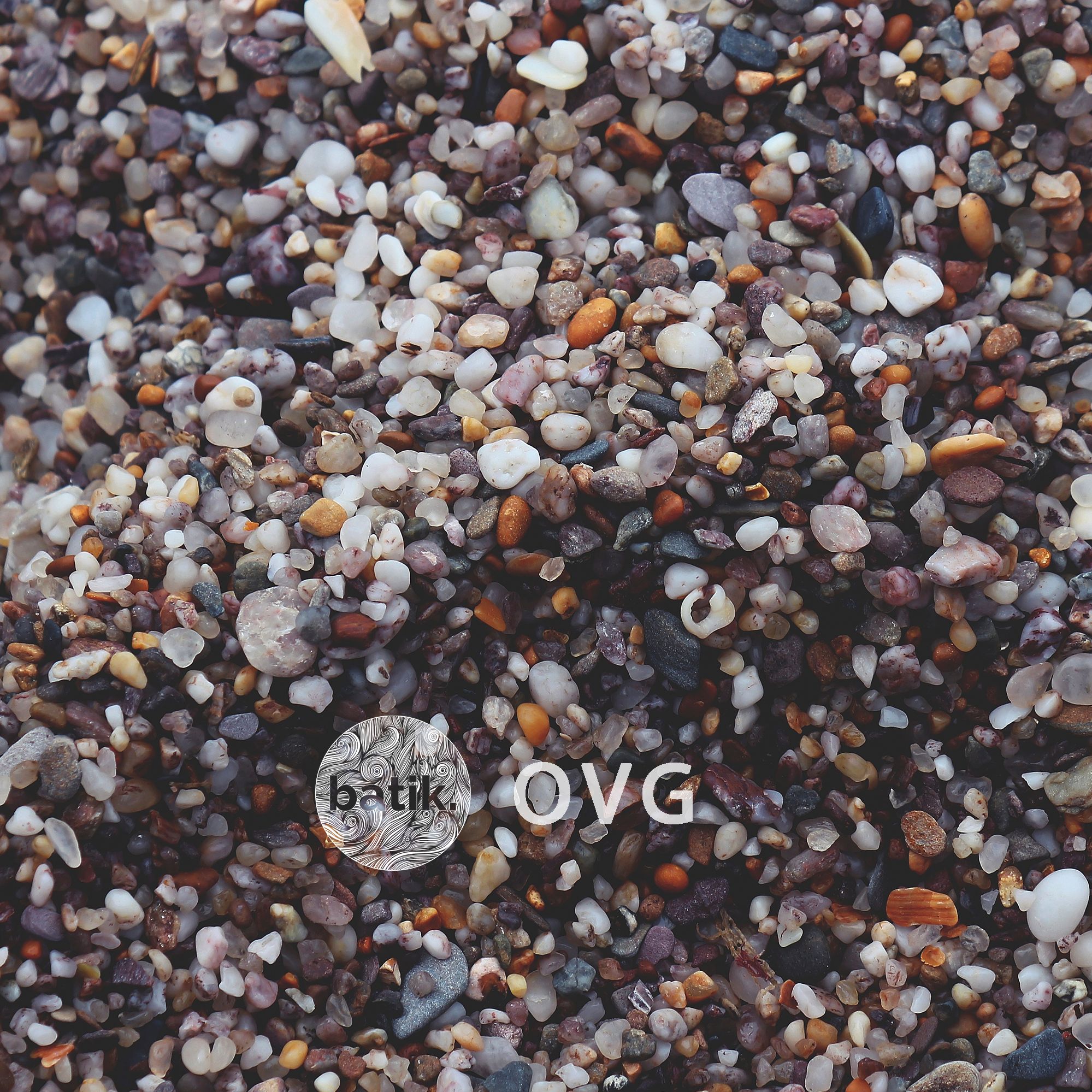 OVG At Batik Music
