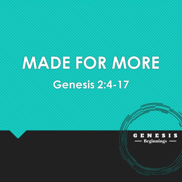 06.02.2019 I Genesis 2:4-17 I Made for More Scott Torres 06.02.2019 I Genesis 2:4-17 I Made for More Scott Torres