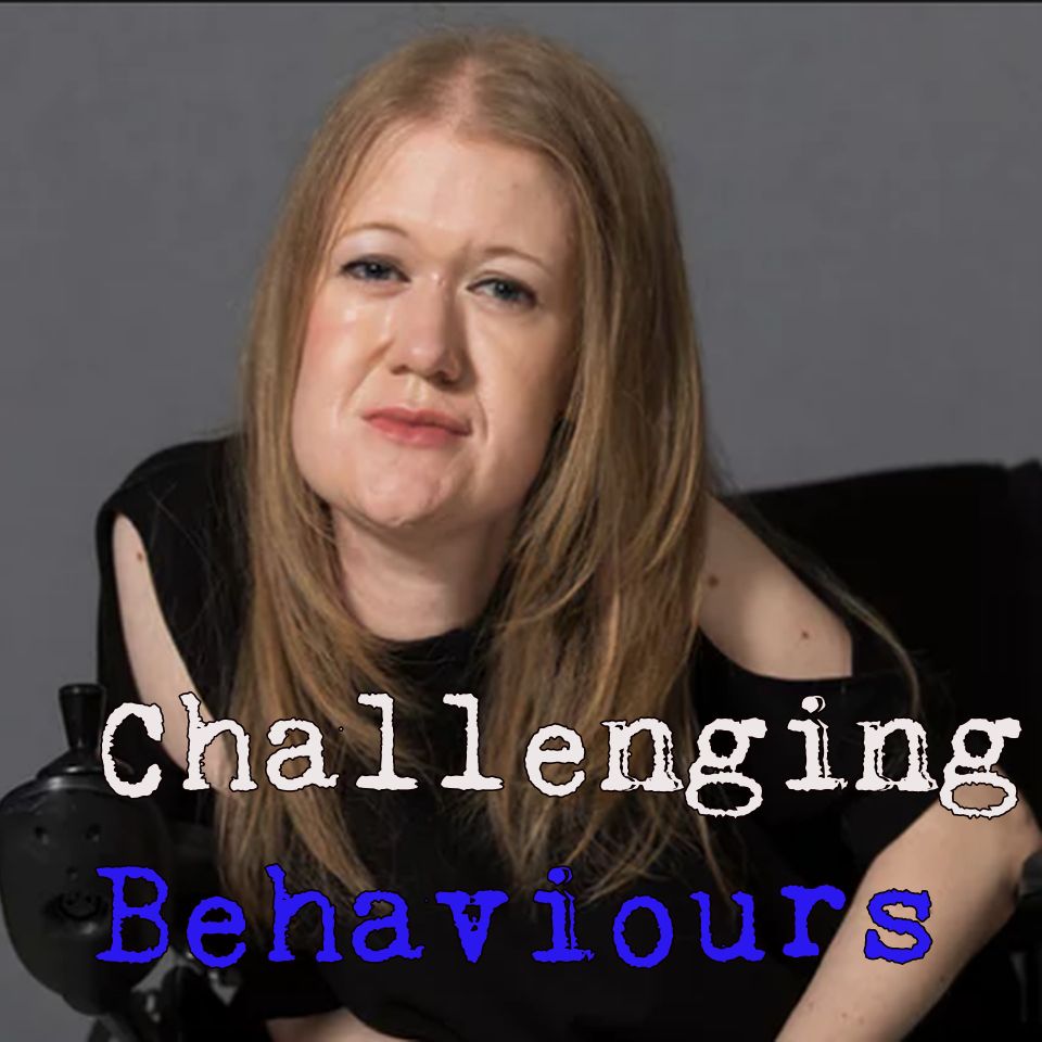 Episode 29 w/ Dr Frances Ryan: Crippled - Austerity and the Demonisation of Disabled People
