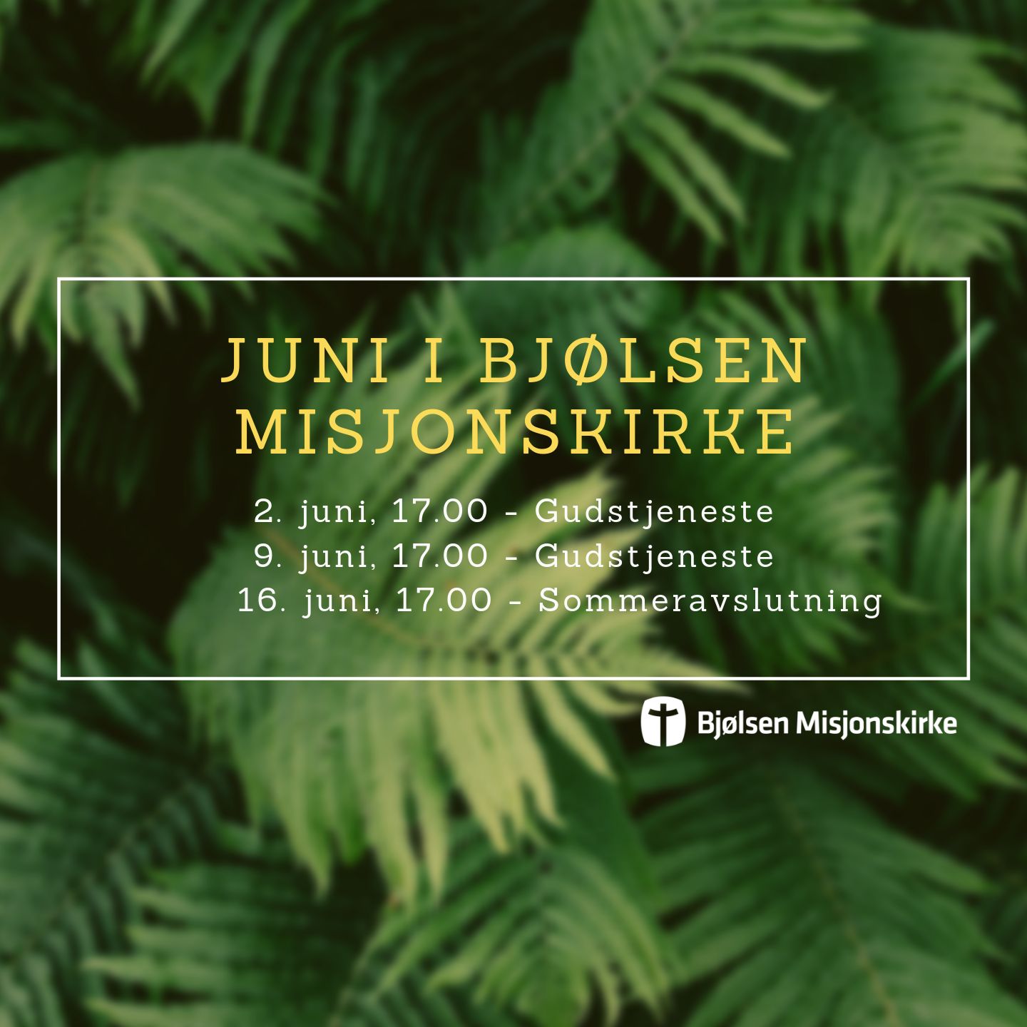 Utrolig | 2. juni 2019 | Anne Hansli
