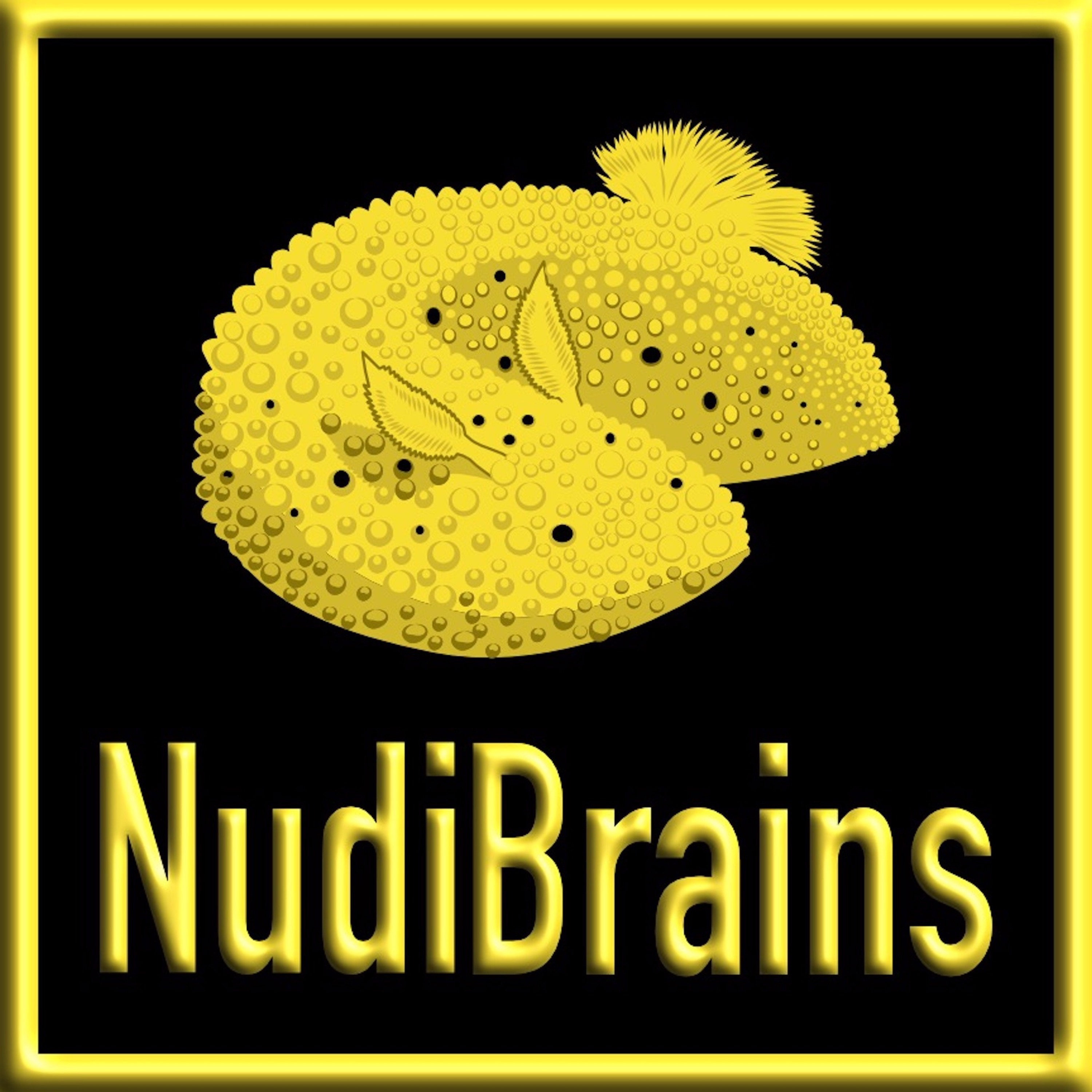 NudiBrains Podcast