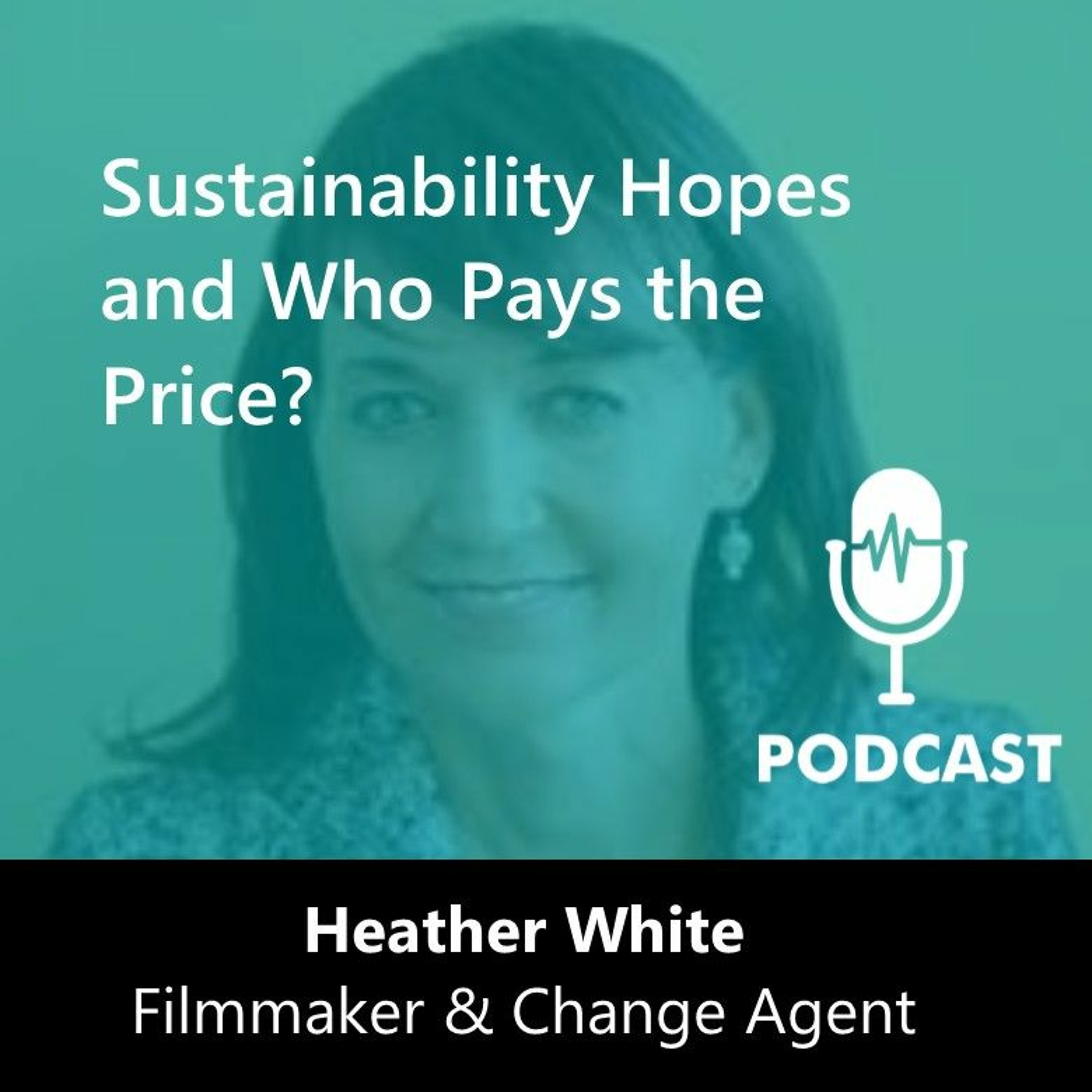 The Sustainable Century