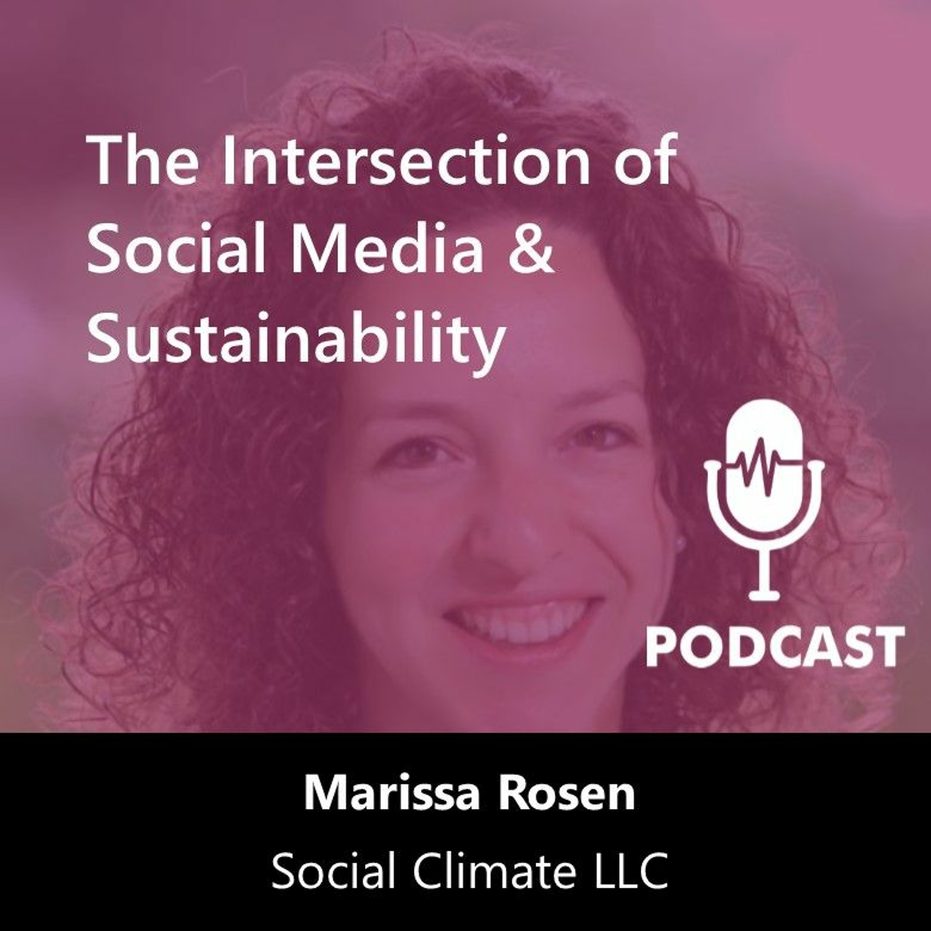 The Sustainable Century