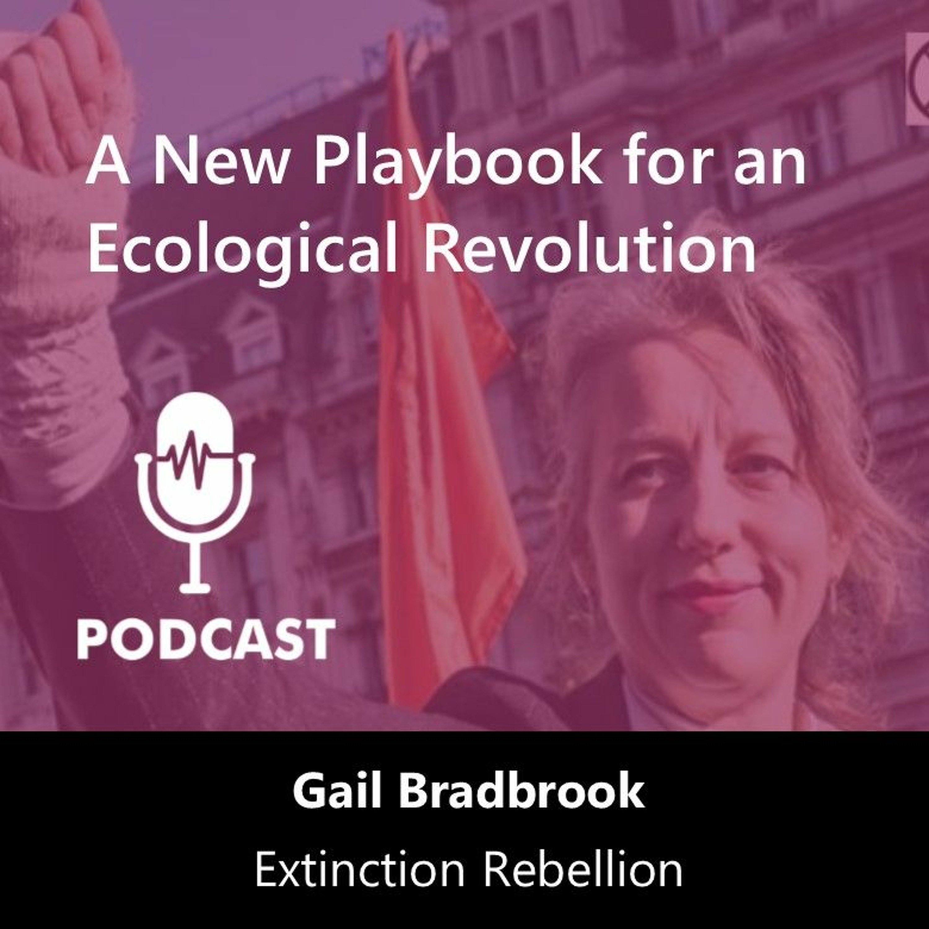 The Sustainable Century