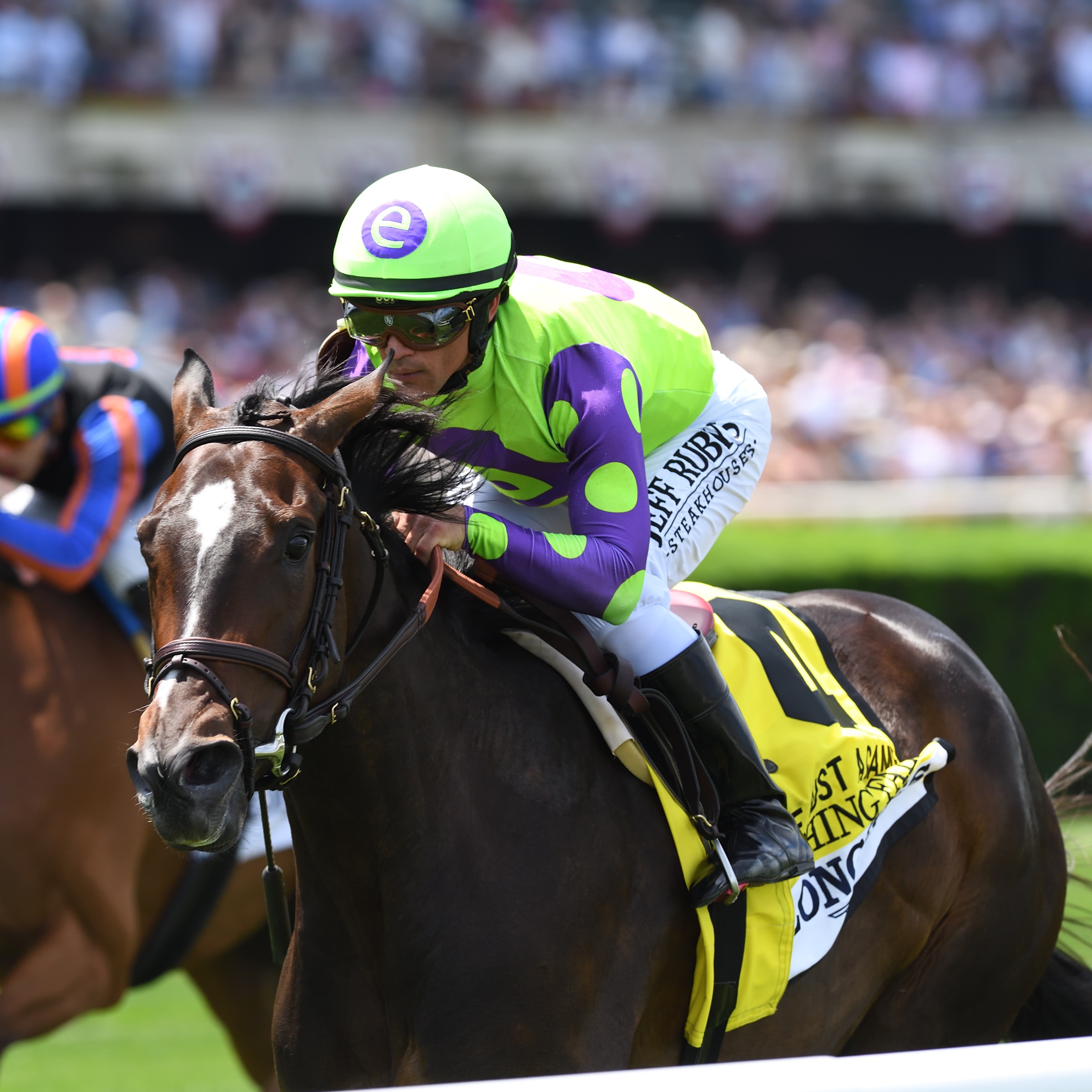 In The Ring Pedigree Podcast: Belmont Review (Rob Tribbett)