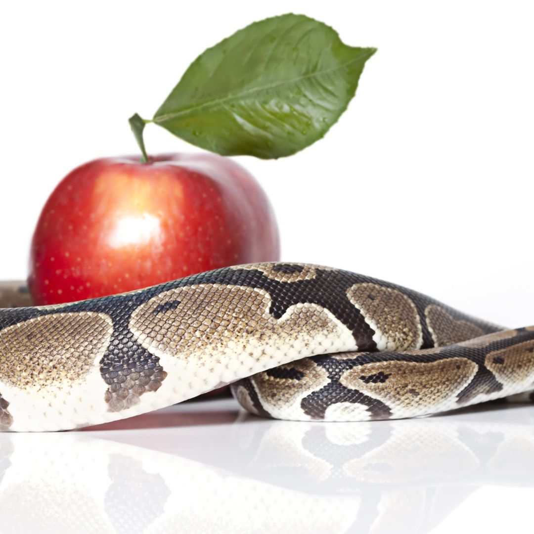 Who Was the Serpent in the Garden of Eden?