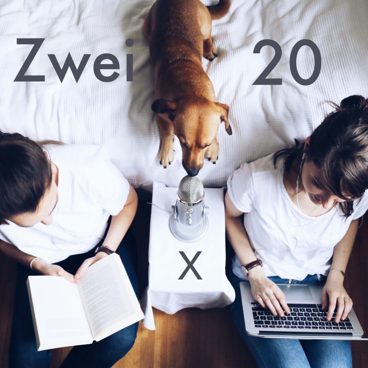 20+51 "Let's talk about emotionale Arbeit - zu viel Rat mit Schlag(obers)?