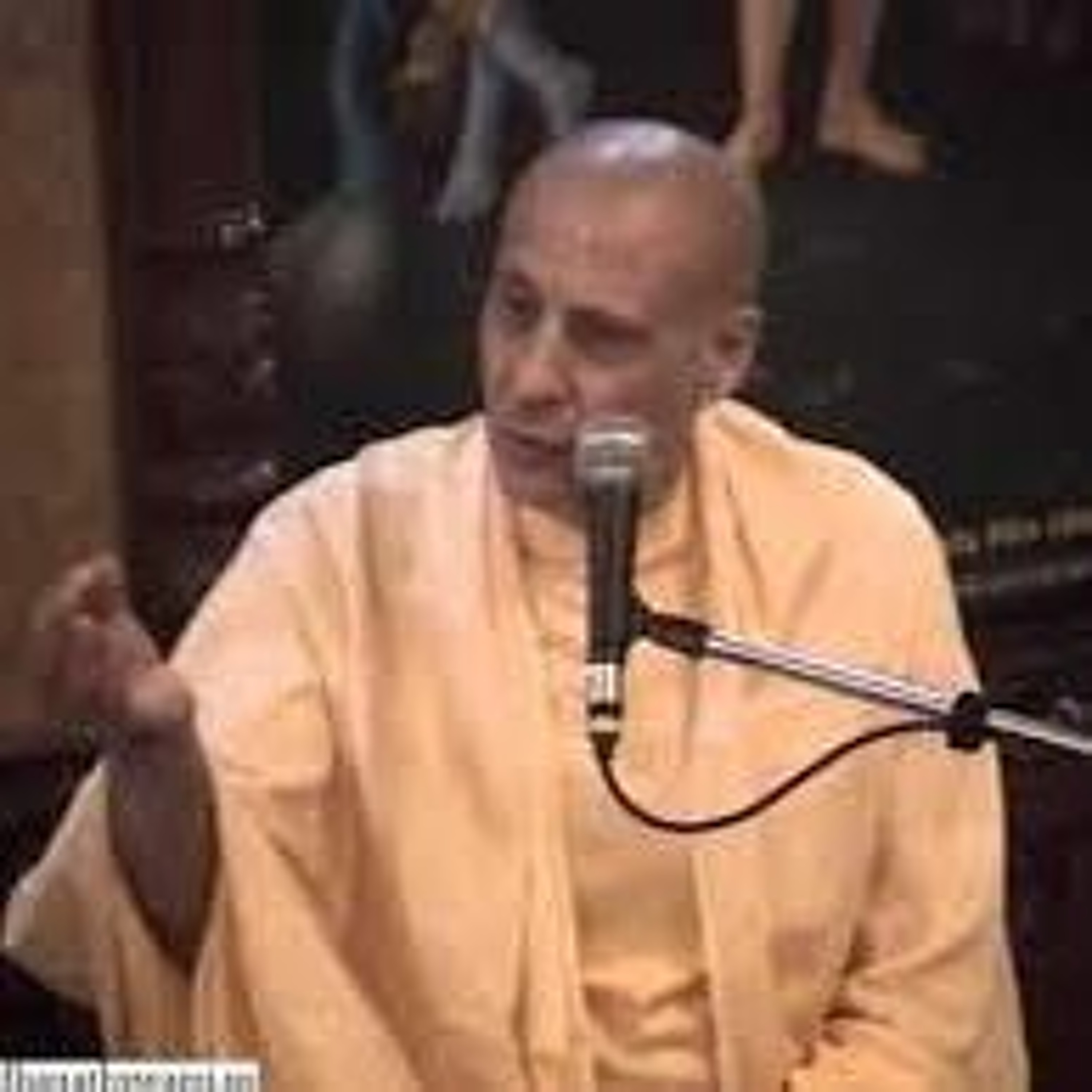 Radhanath Swami