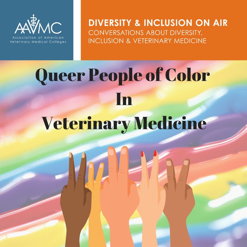 53: Queer POC In Veterinary Medicine