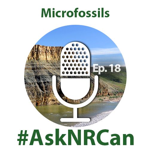 Discovering microfossils that are a BILLION years old (Ask NRCan)