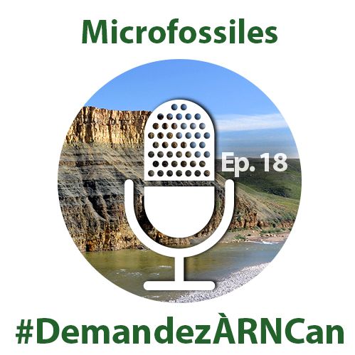 La découverte de microfossiles remontant à un MILLIARD d’années (Demandez à RNCan)