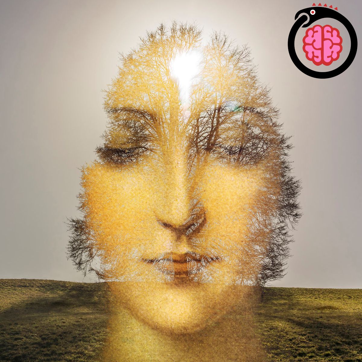 #087 - Eidetic Imagery (Wendy Yellen)