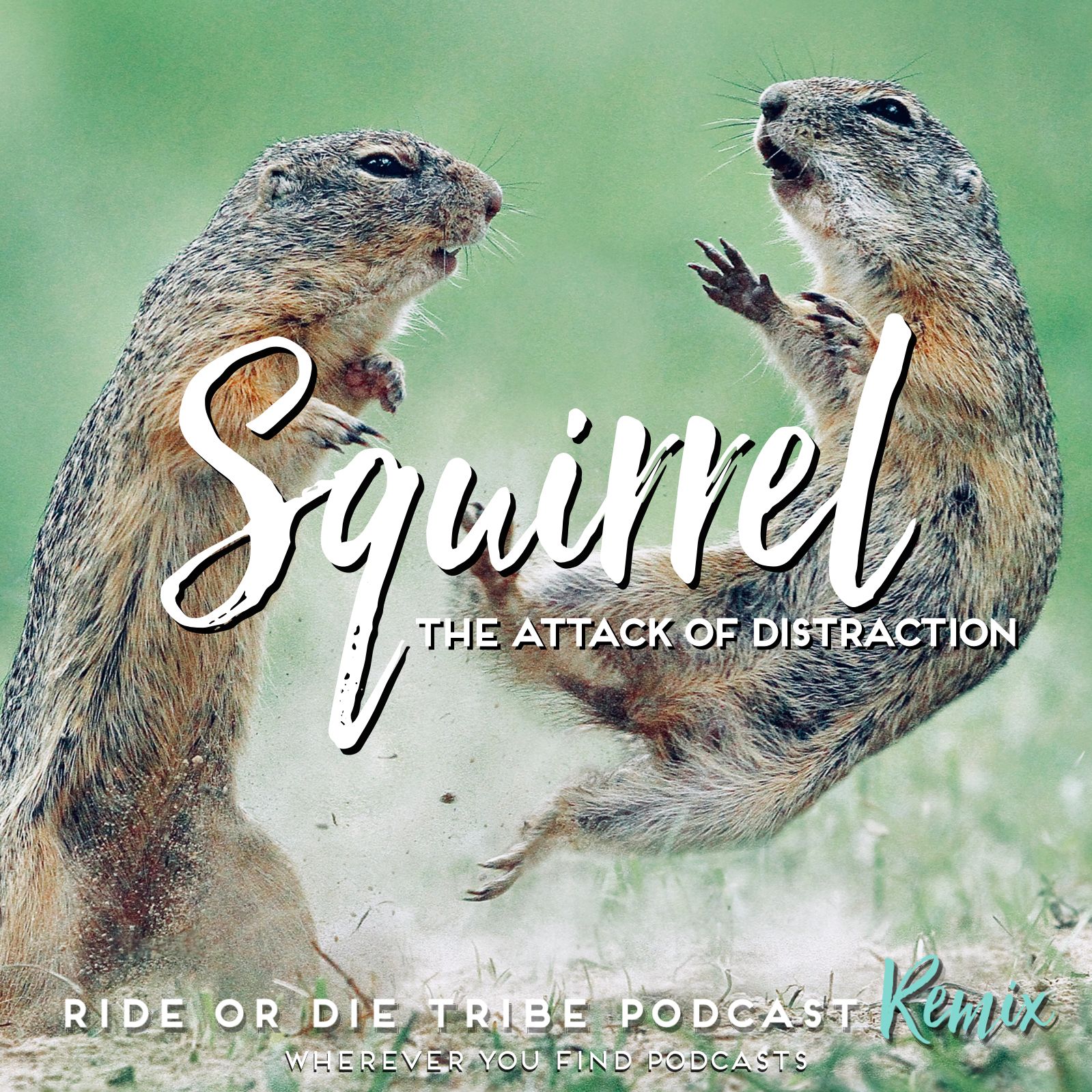 #59 Remix - Squirrel: Attack of Distraction