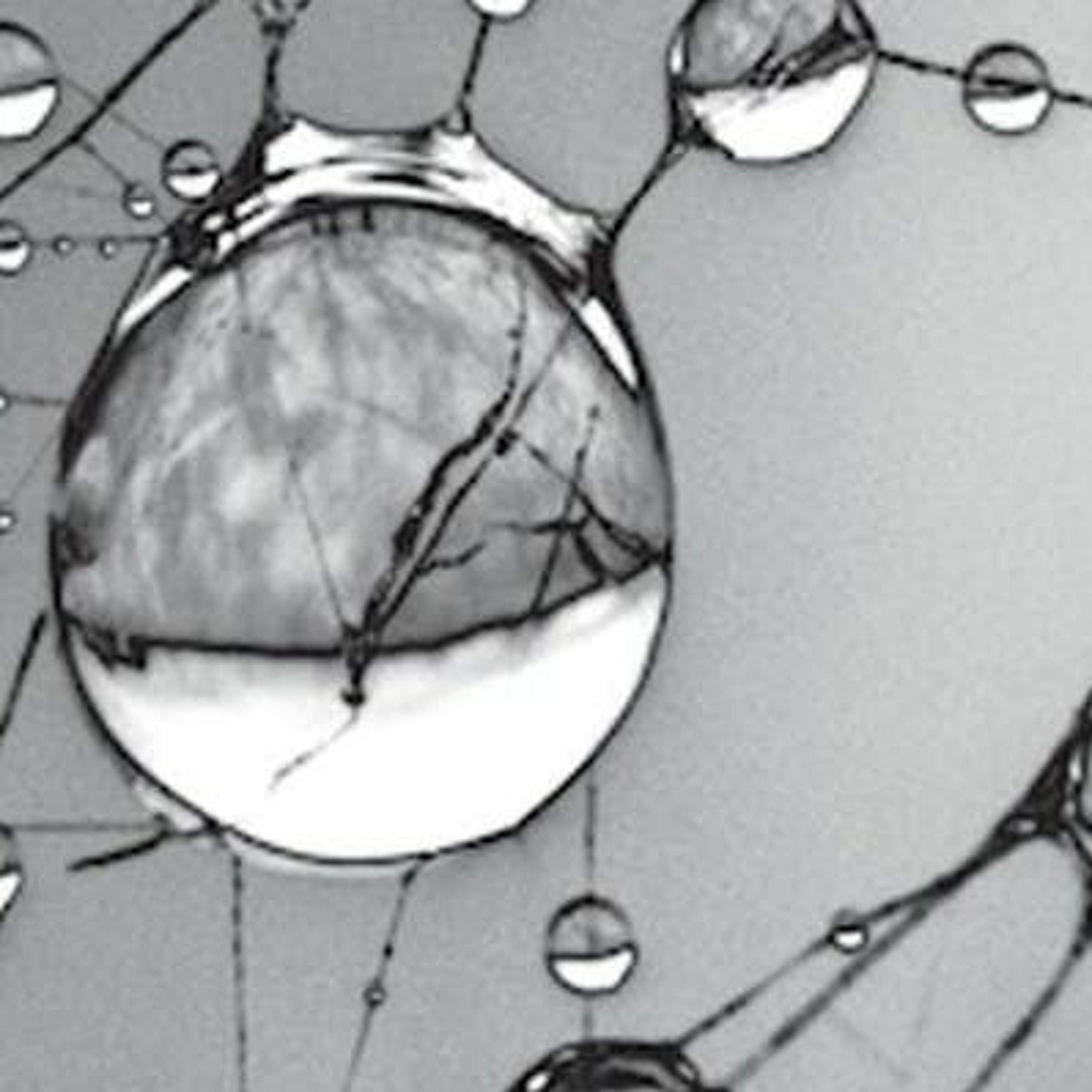 Thinking on Sunday: The Perils of Partnership in Public Health