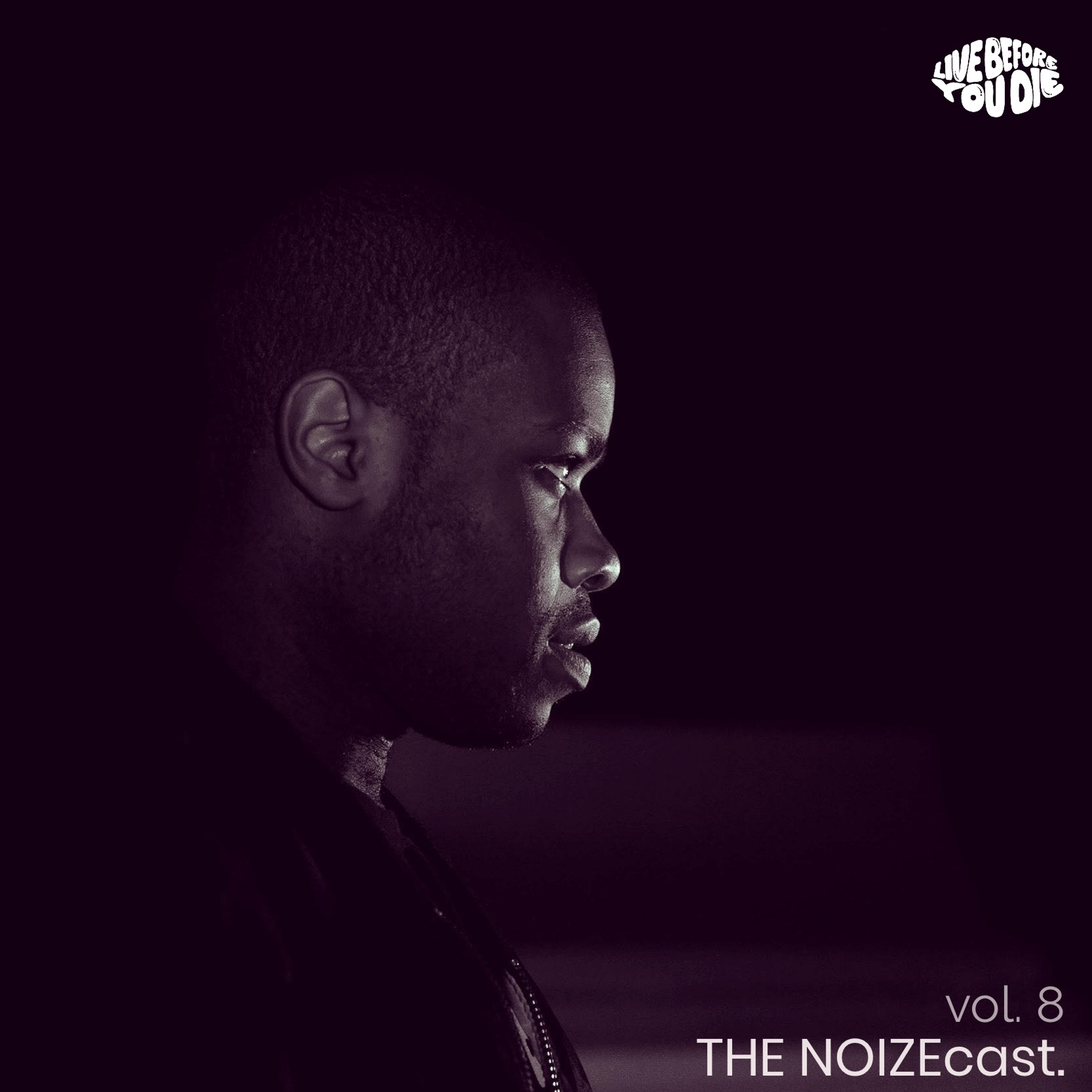 The NOIZEcast vol. 8