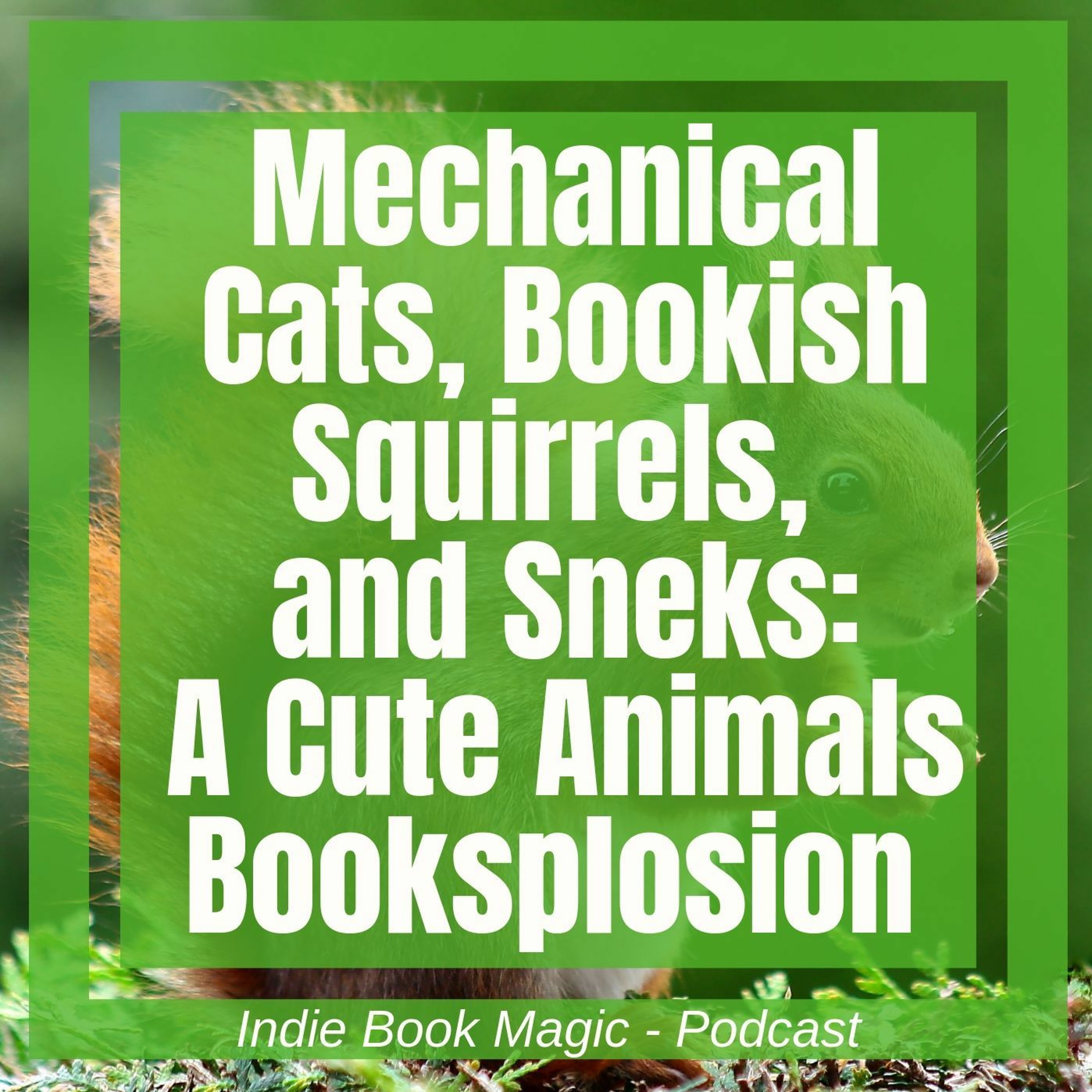 Ep. 65 - Mechanical Cats, Bookish Squirrels, and Sneks: A Cute Animals Booksplosion