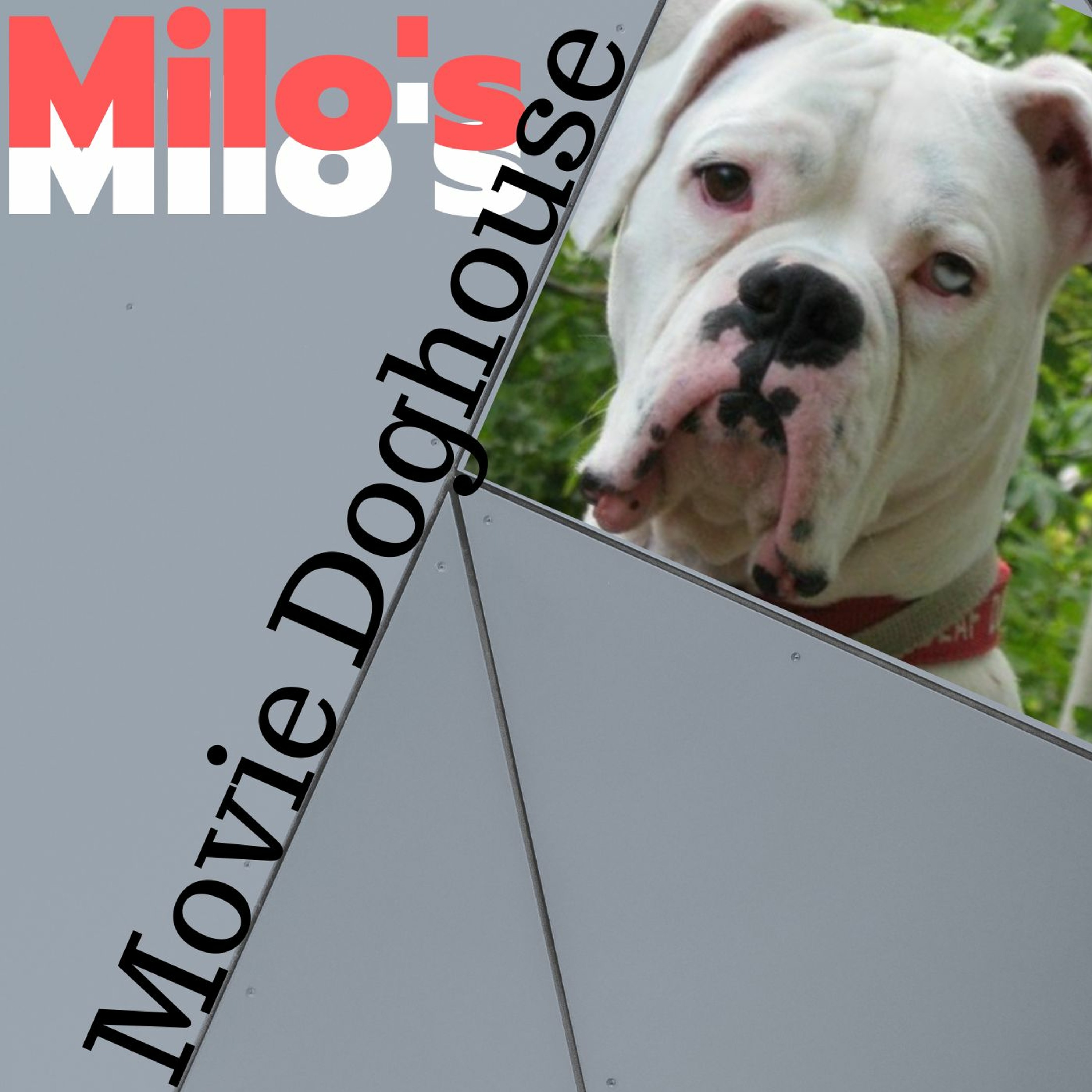 Milo\'s Movie Doghouse