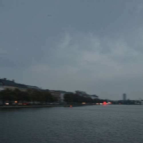 singing the pearl blossoms {a poem} singing the pearl blossoms {a poem}