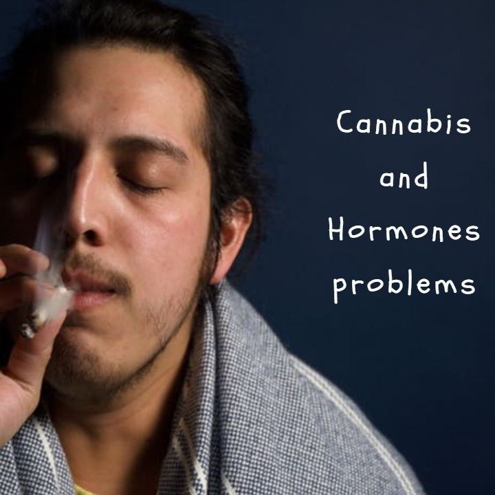 Cannabis and Hormone Problems