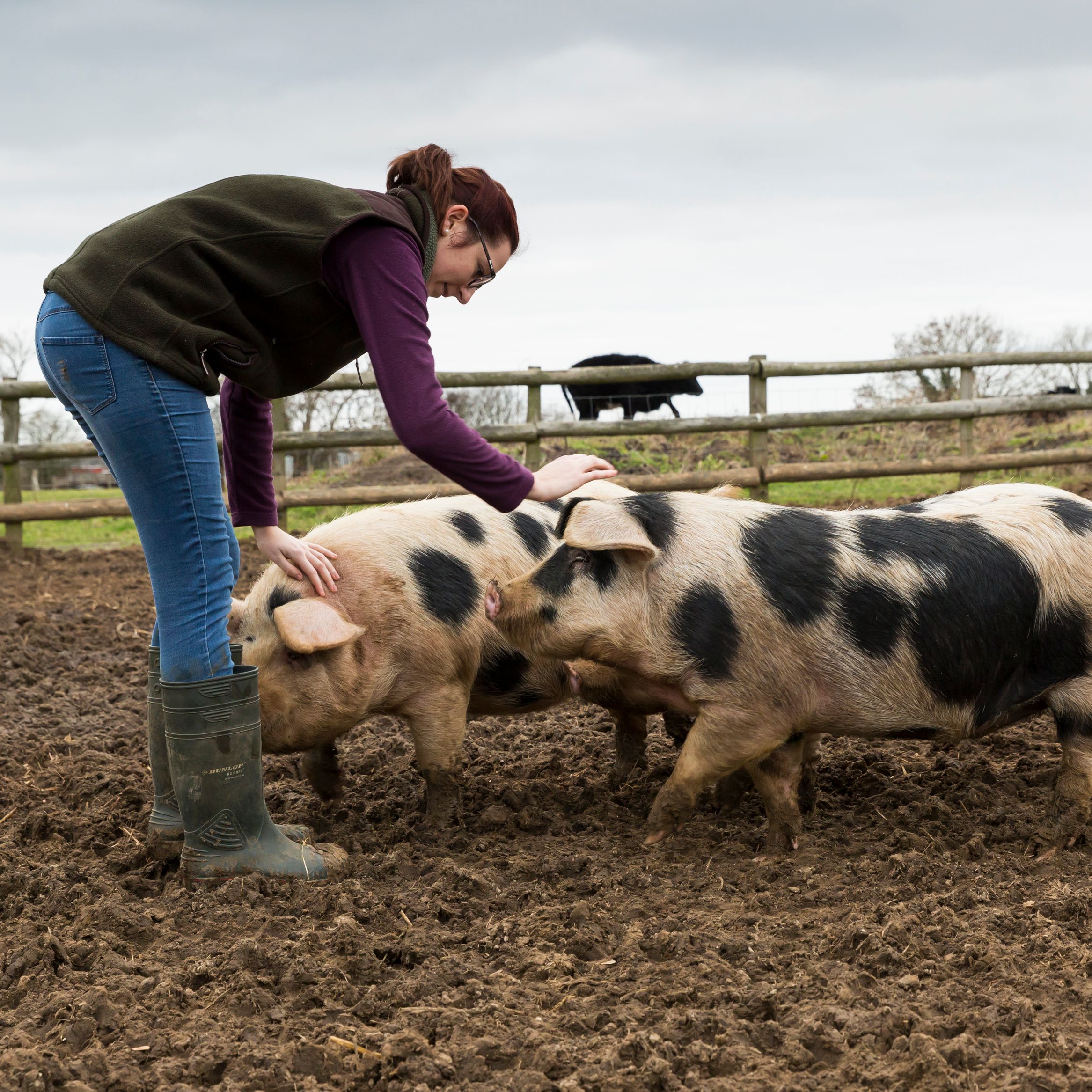 Meet The Farmers - Episode 39 with Katie Anderson