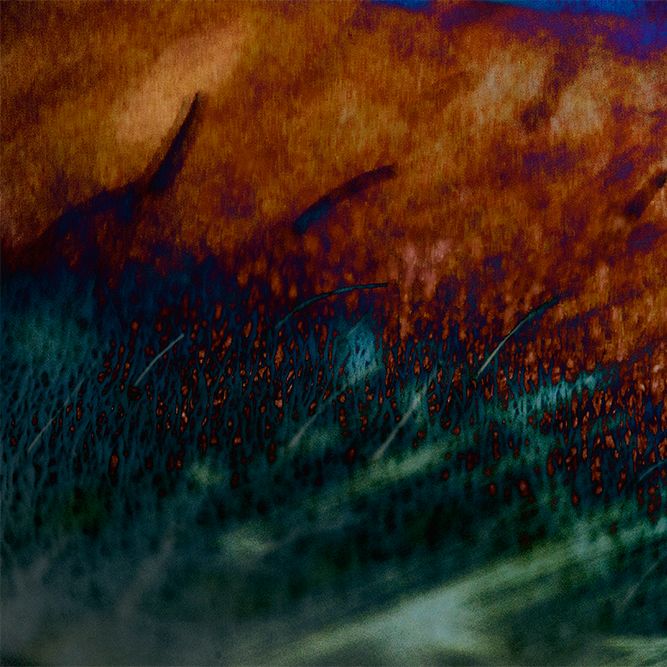 MierdeanSankRemix MierdeanSankRemix