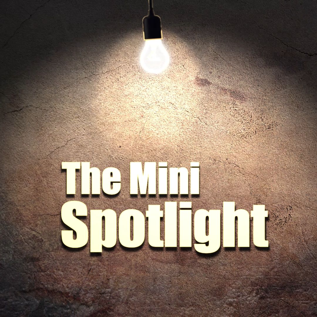 The Mini Spotlight - Survivor GameZ 2.0 (Electric Boogaloo)