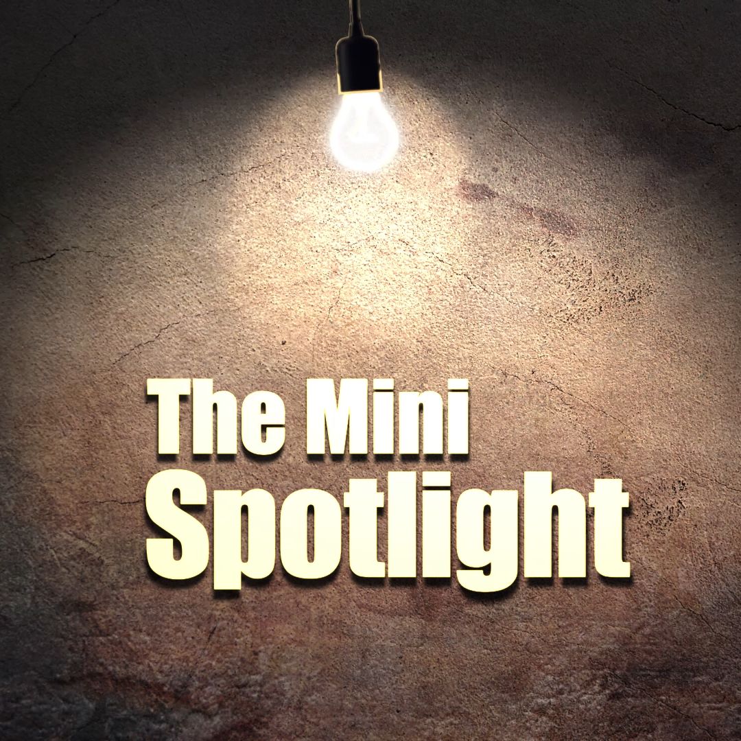 The Mini Spotlight - My thoughts on the Status Report July 2019
