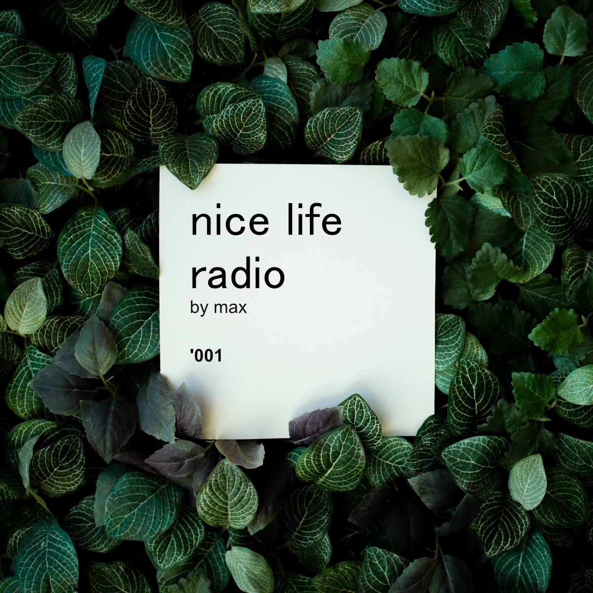Nice Life Radio '001