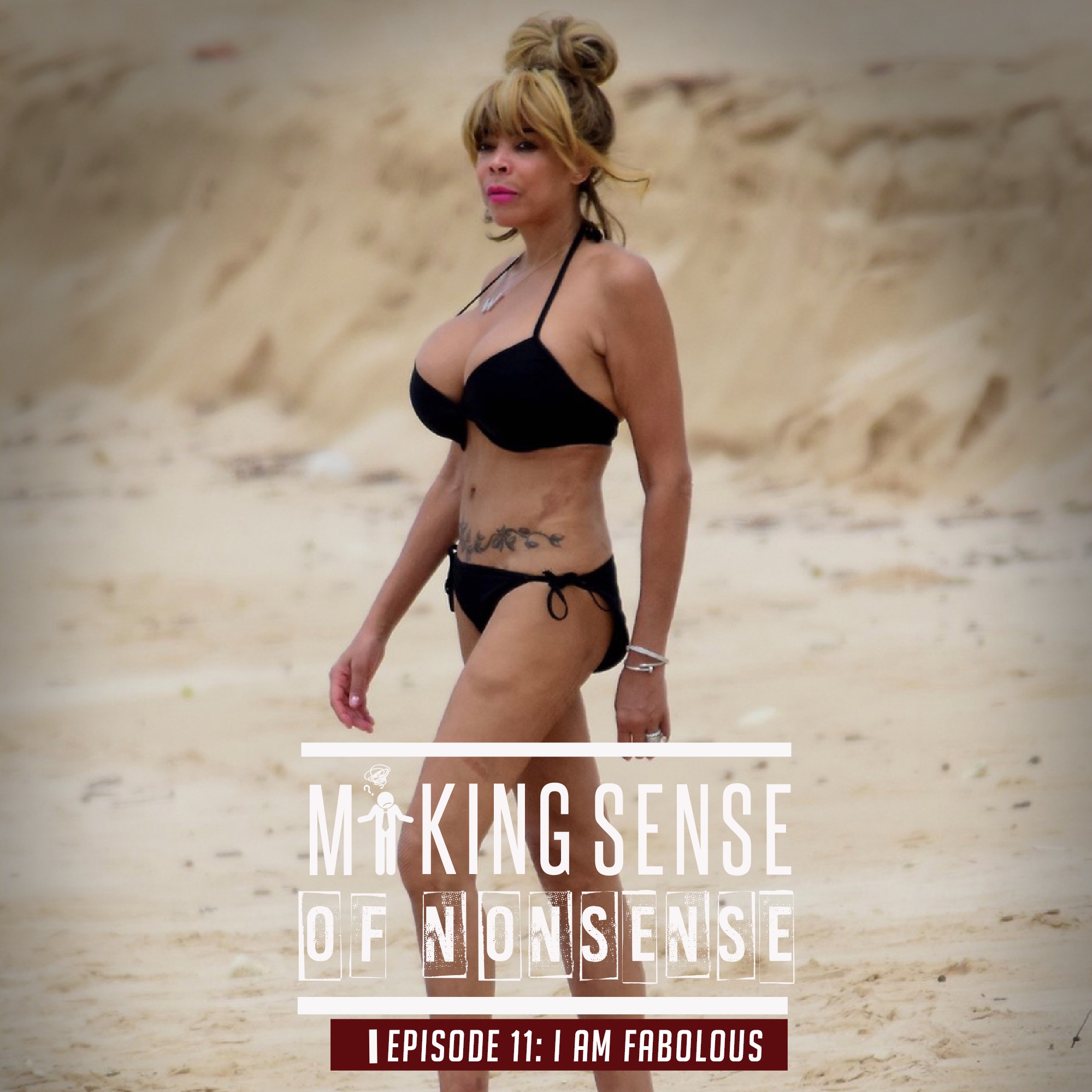 Making Sense of Nonsense Episode 11 - I Am Fabolous
