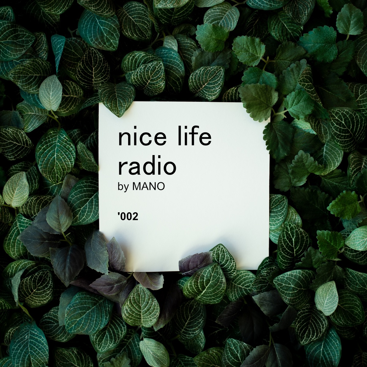 Nice Life Radio '002