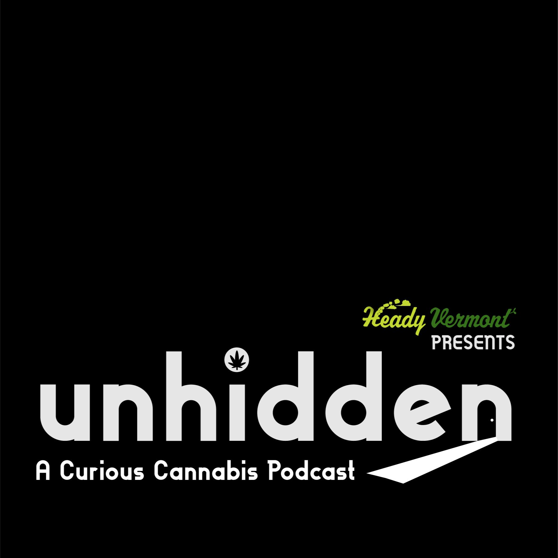 Unhidden Nugget - Susan Snowden