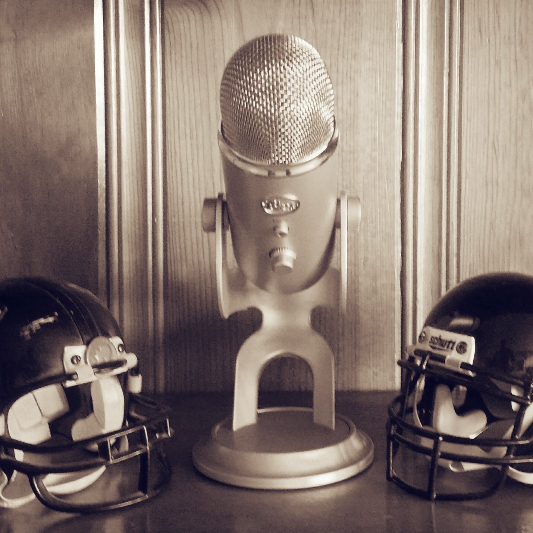 (Fill in the Blank) Podcast