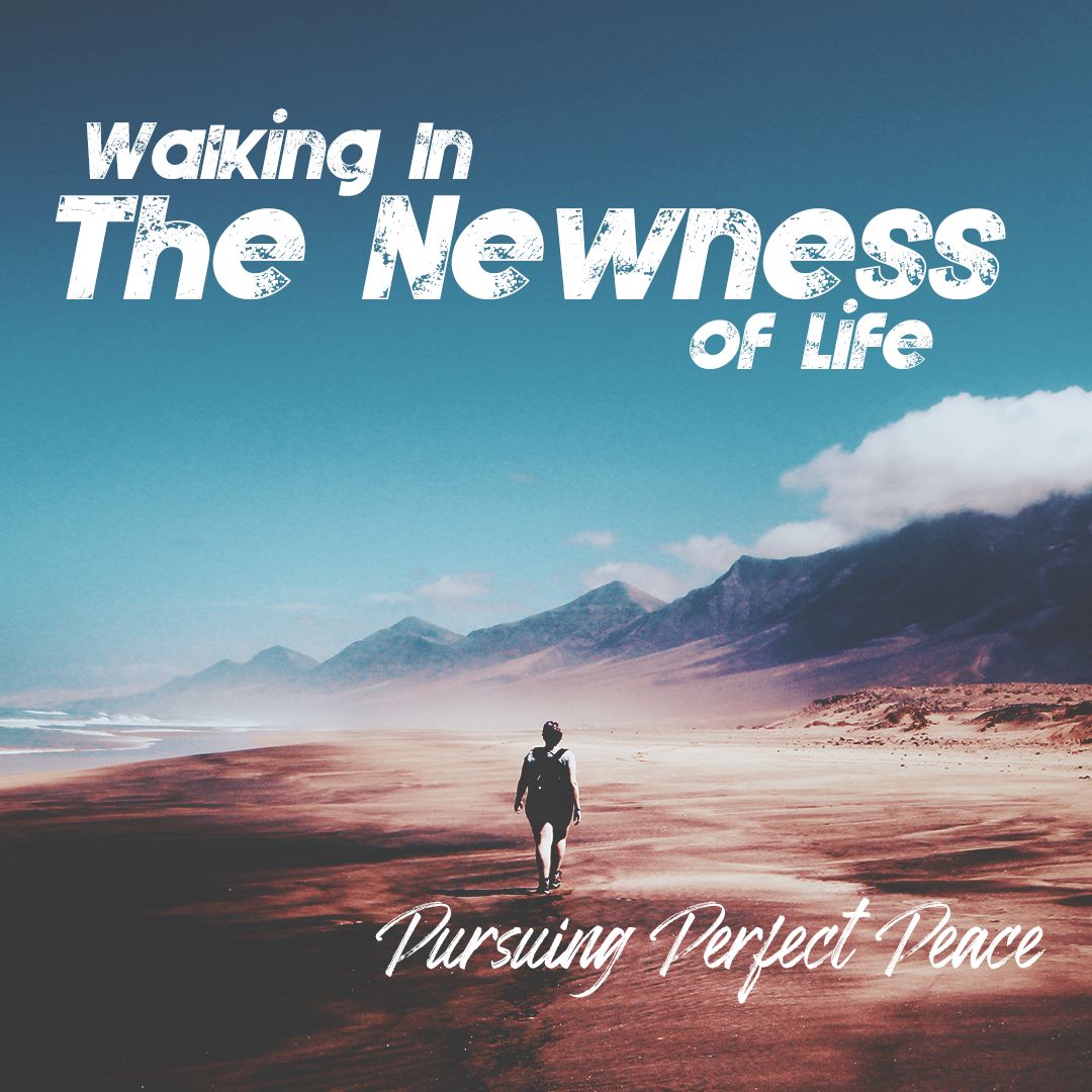 Pursuing Perfect Peace - Walking in The Newness of Life