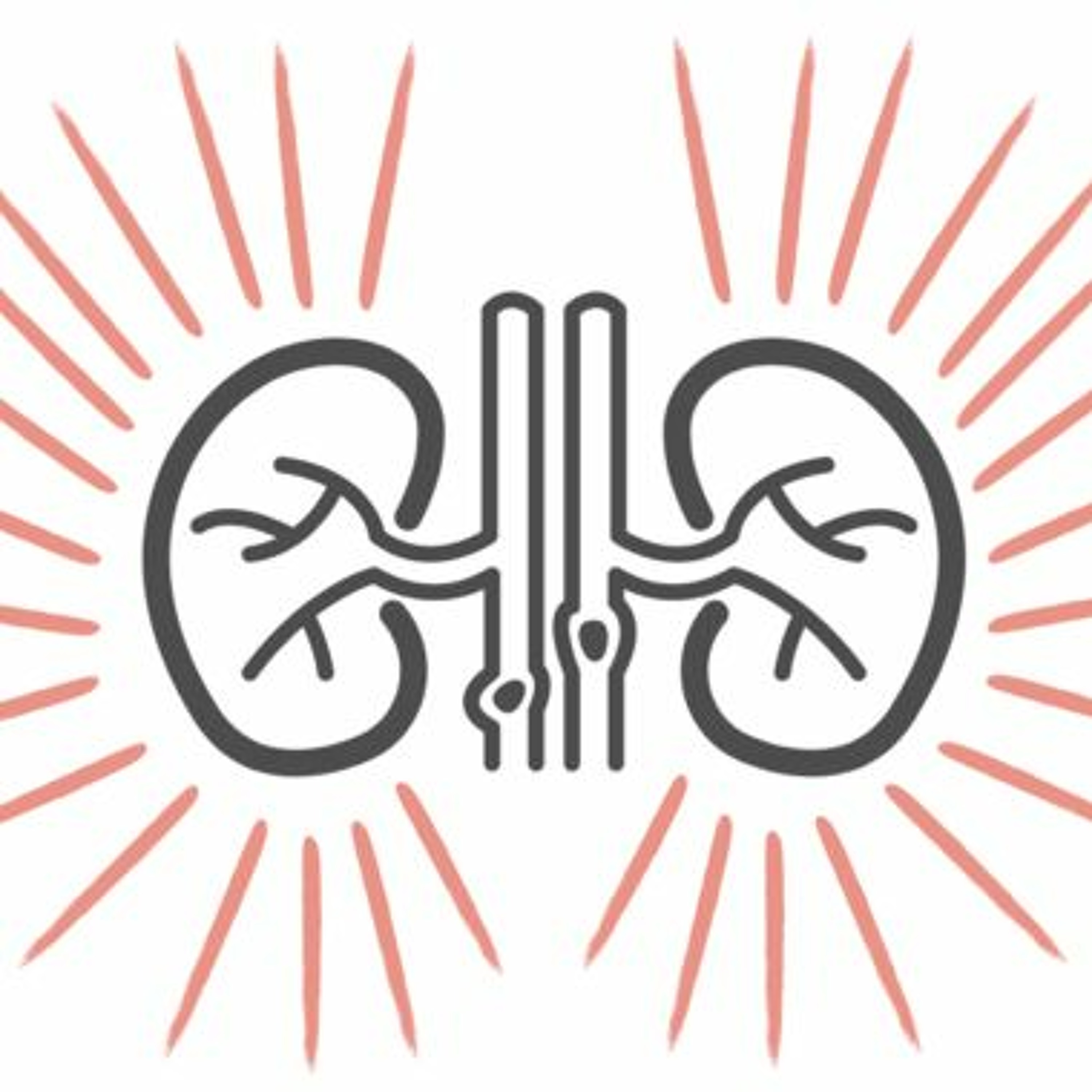 Controversies in Kidney Stones