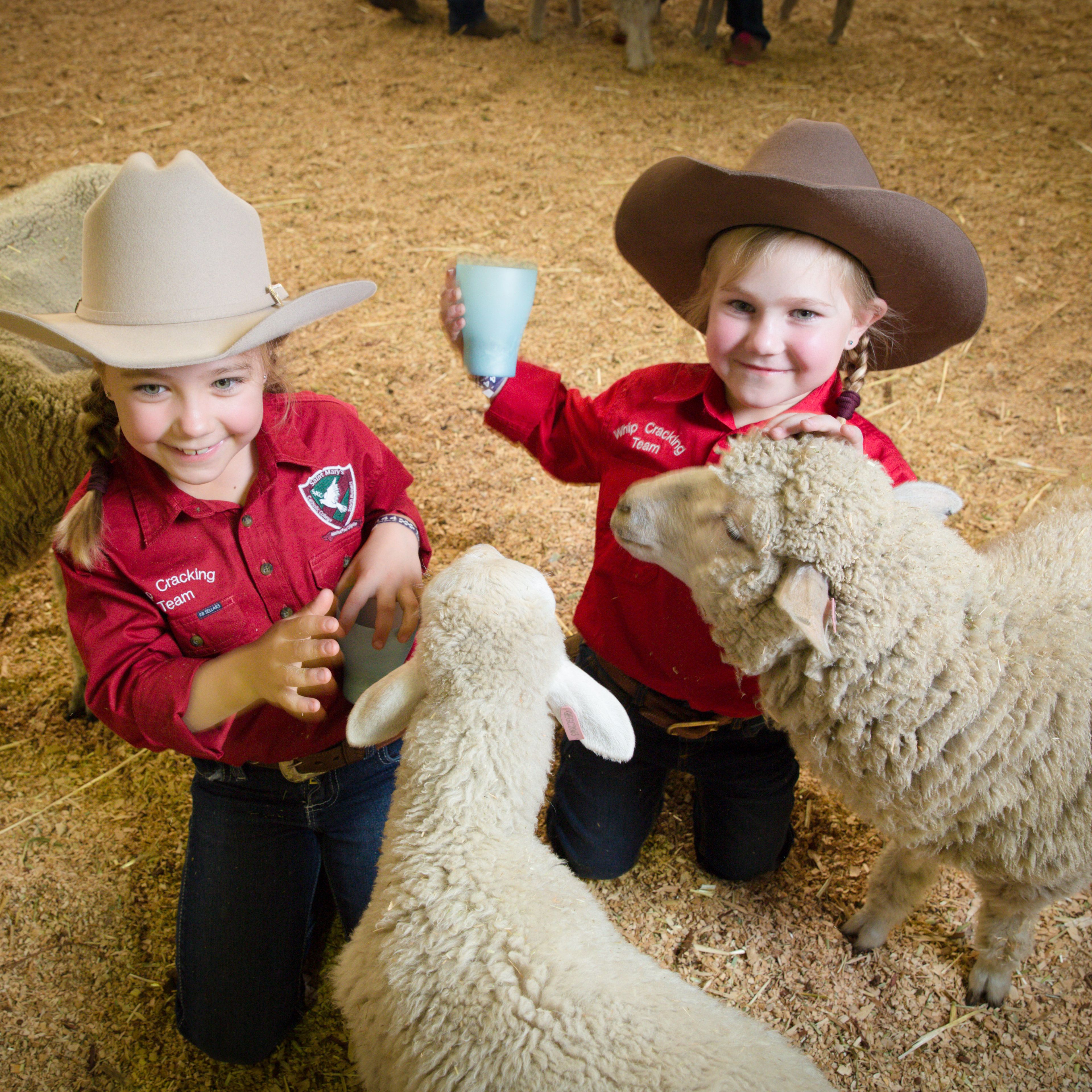 EPISODE 34 - EKKA SPECIAL: HIGHLIGHTS FROM THE ROYAL QUEENSLAND SHOW