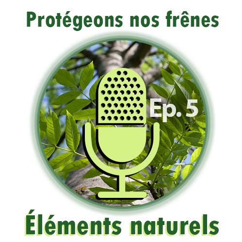 Protégeons nos frênes (Éléments Naturels)