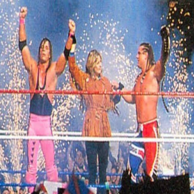 WWF Summerslam 1992
