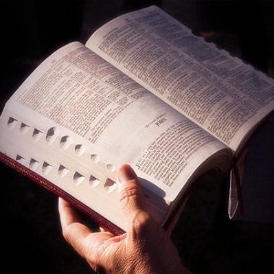 #67: Importância do Estudo