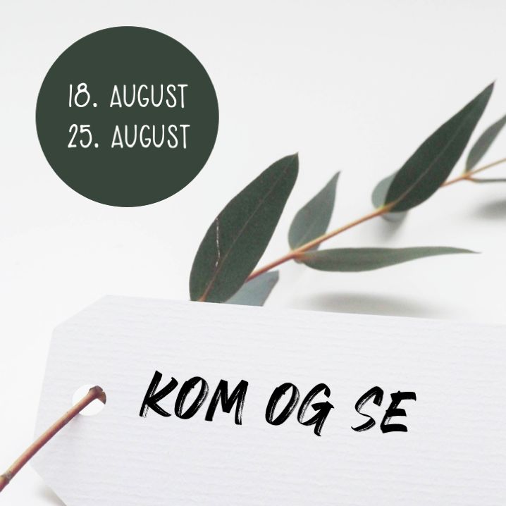Kom og se - del 1 | 18. august 2019 | Eirik Soldal
