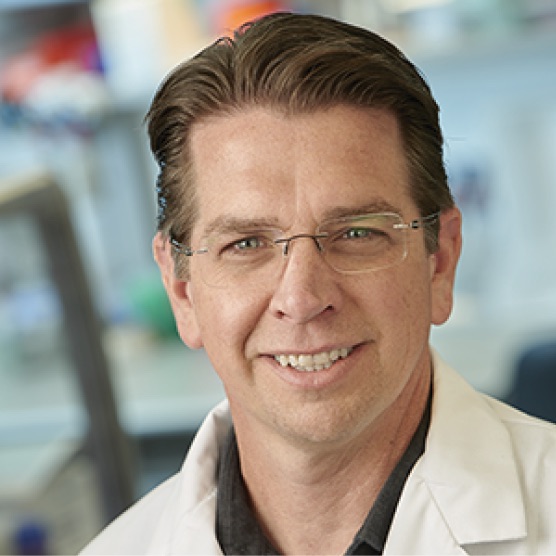 Episode 18: Stirring Up A Whole Lot of Science Around Valley Fever