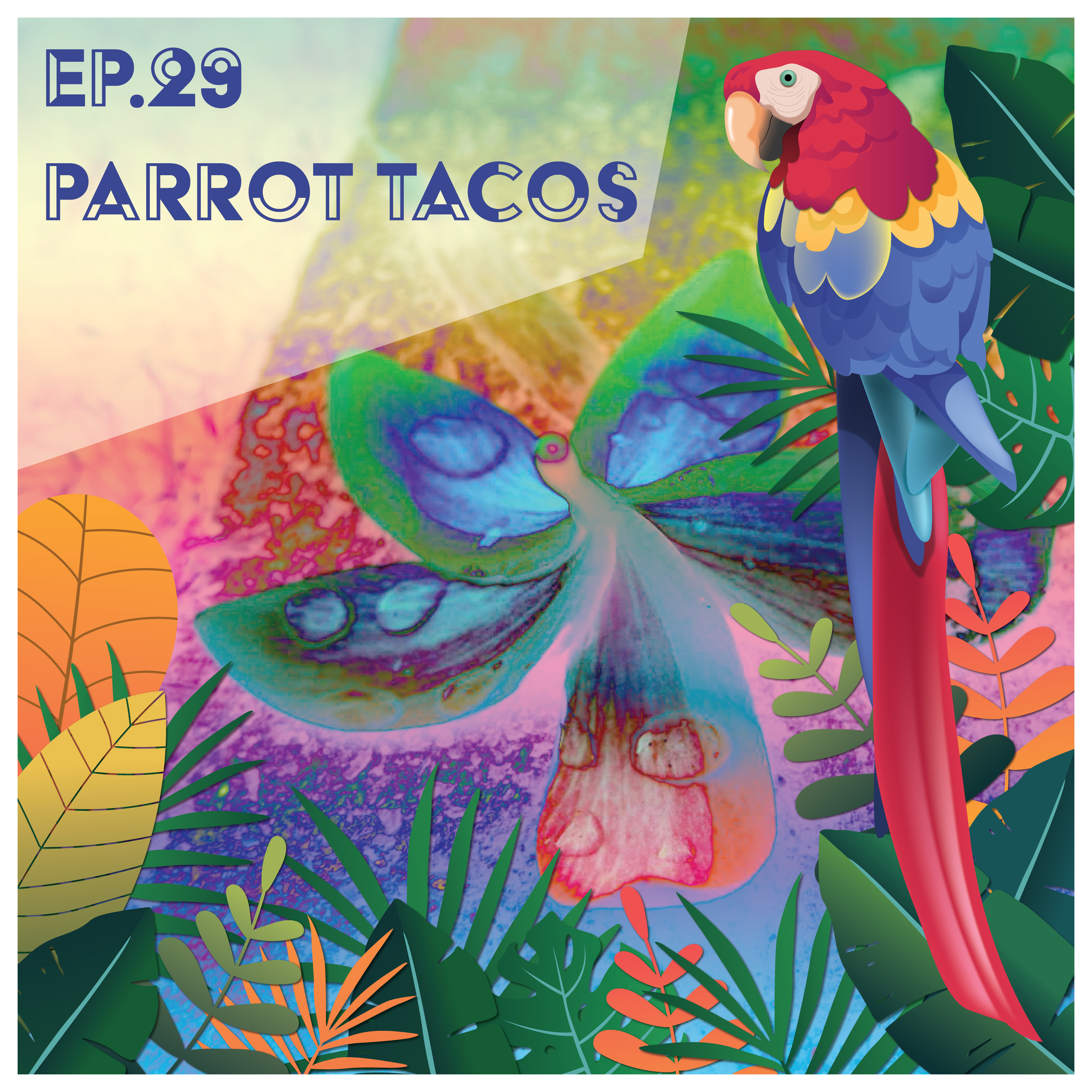 Parrot Tacos