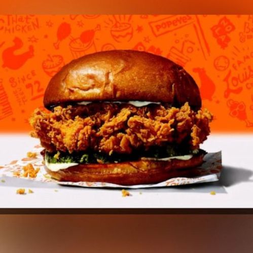 Chicken Sandwich Flu feat. G-Moni