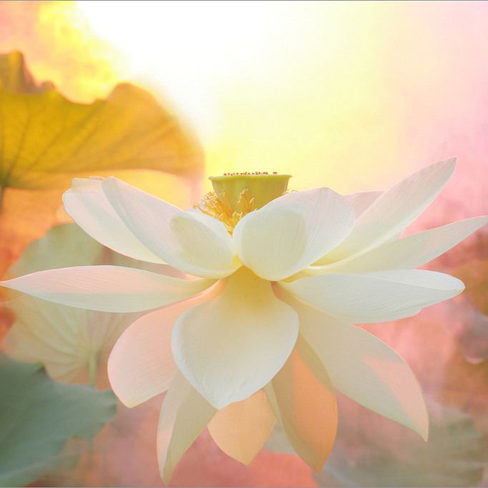 A Guided Meditation for the Earth, Water, Air & Fire - for Personal & Planetary Healing