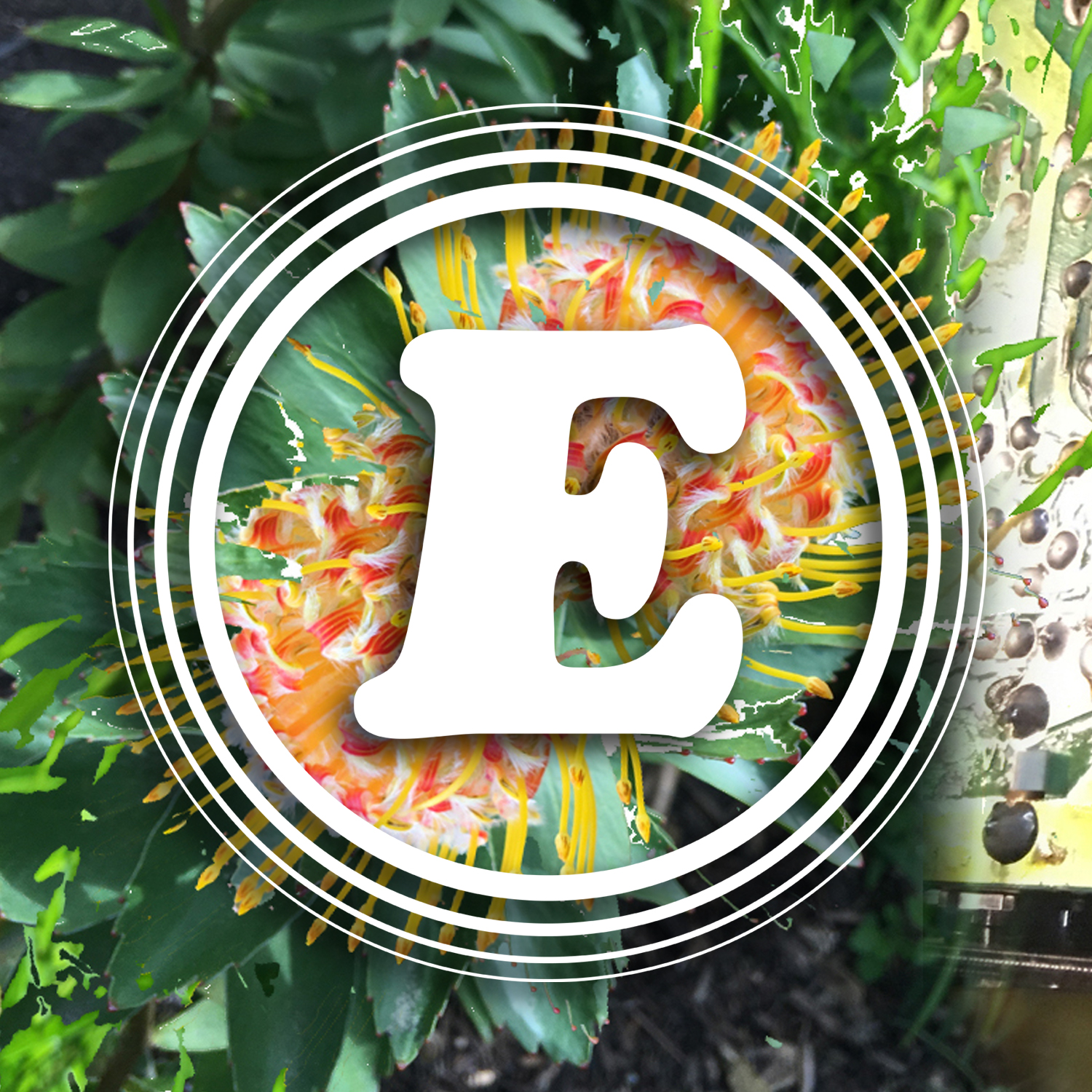 Euth Radio 013 - Late August 2019