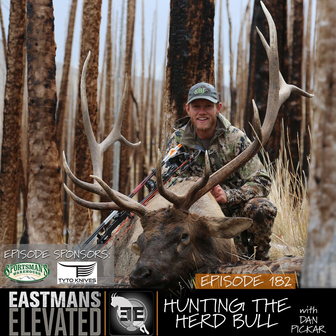 182- Hunting The Herd Bull With Dan Pickar