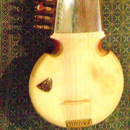 About the Sarod...