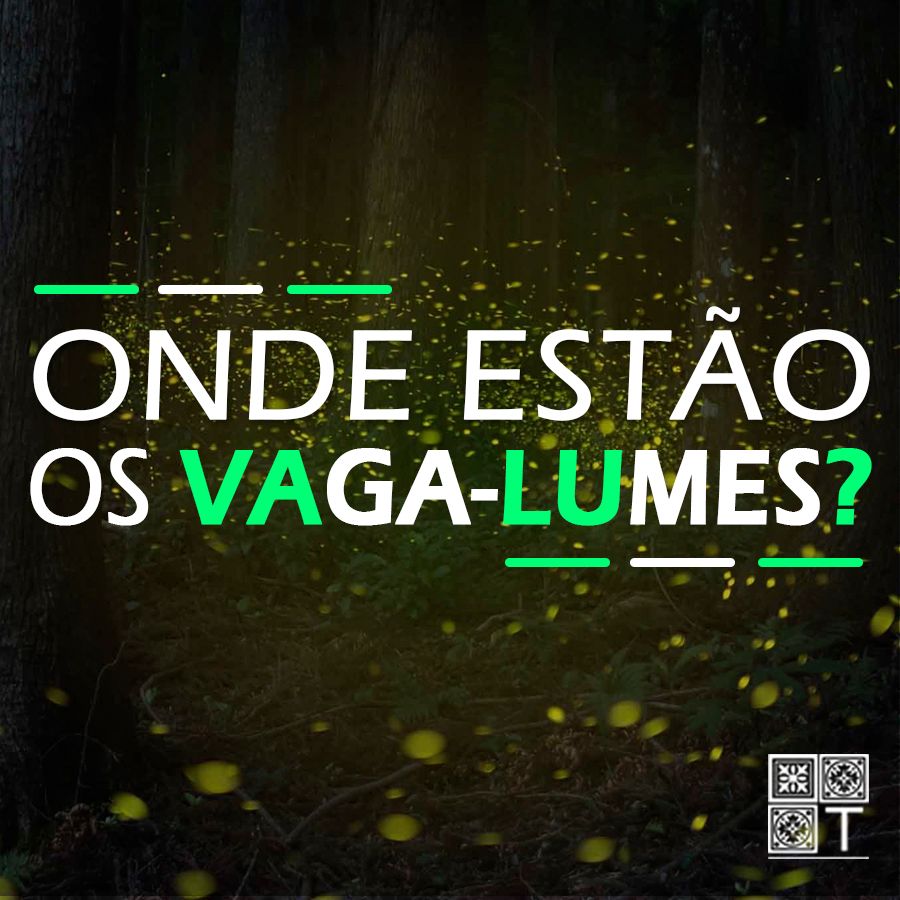 Tricotando#85 - Onde Estão Os Vaga-Lumes?
