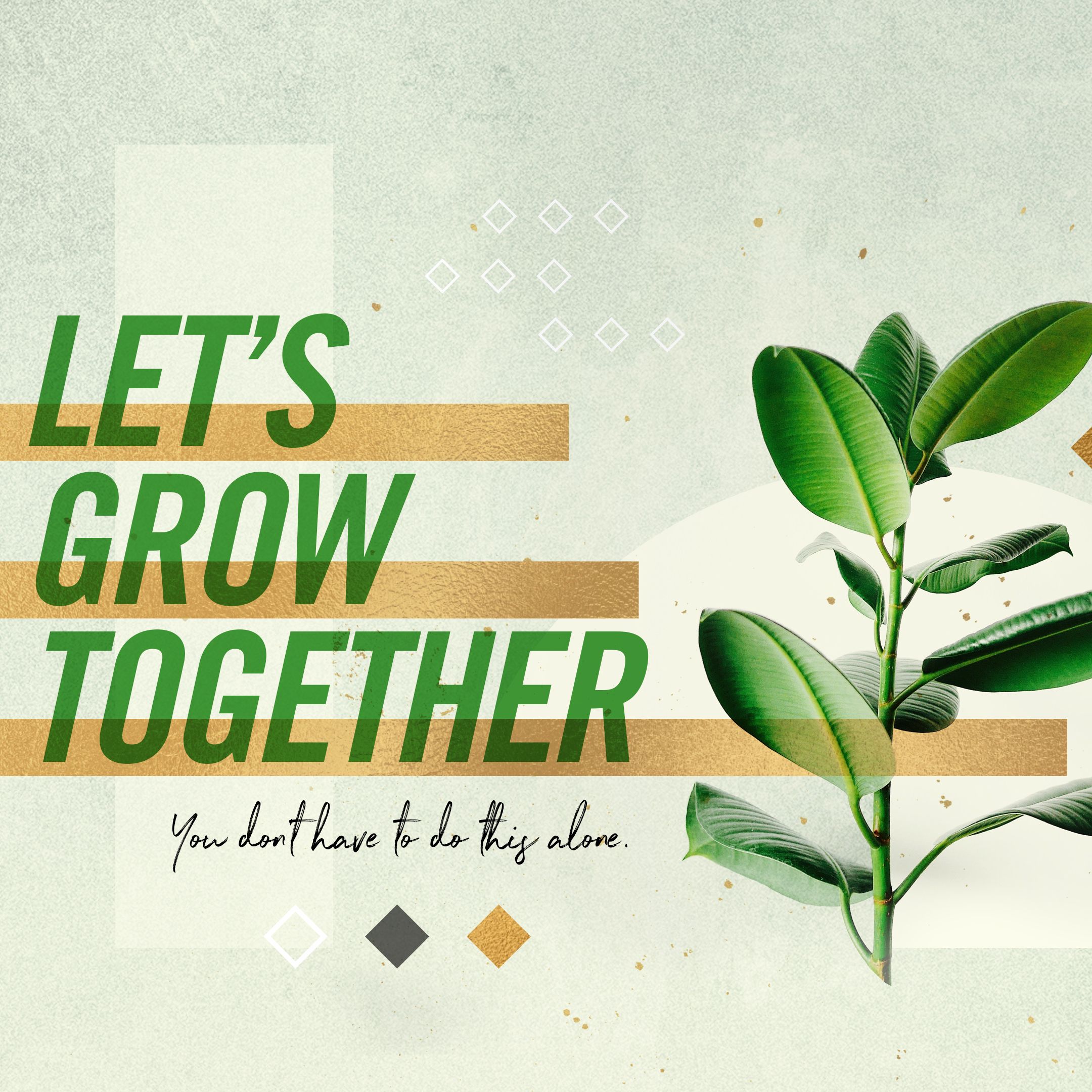 Let's Grow Together pt3