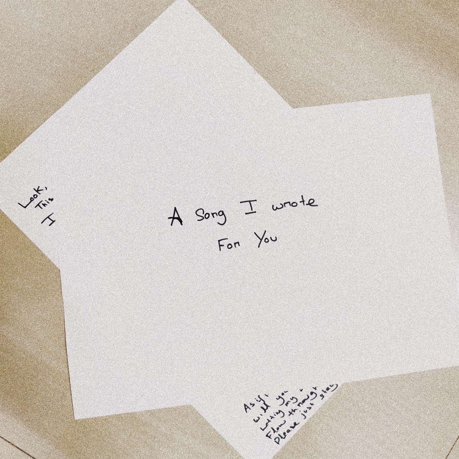 A Song I Wrote For You